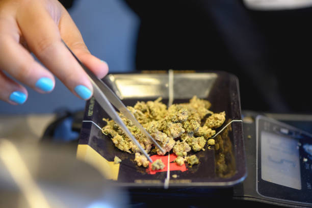 How to Build a Successful Dispensary Business in an Evolving Landscape: Tips for 2024