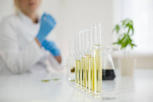 What new products can we expect to see from dispensaries in 2024?