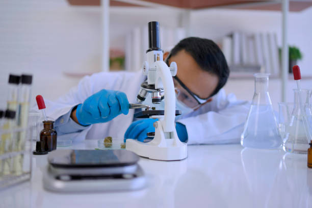 Legalization updates and changes in the regulatory landscape