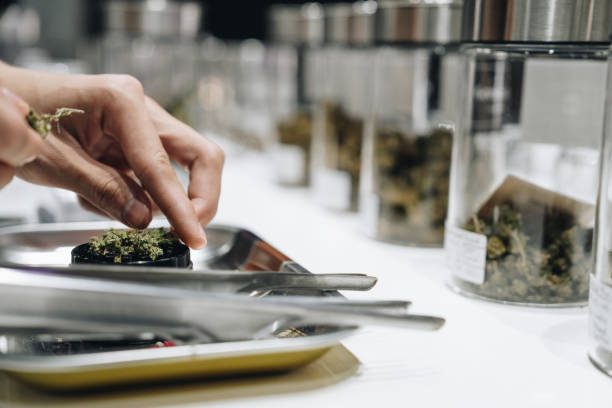 What are the top trends expected to shape the dispensary industry in 2024?