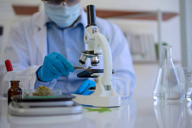 How to Navigate Regulatory Changes and Compliance Issues in the Dispensary Industry in 2024
